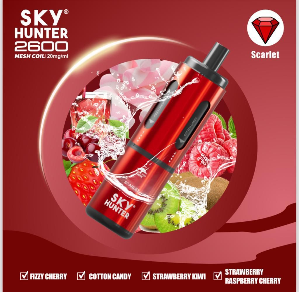 4 in 1 Sky Hunter 2600 Puffs Disposable Vape Pod Kit - Vape Villa