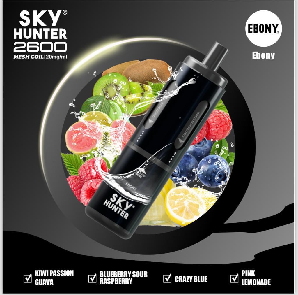 4 in 1 Sky Hunter 2600 Puffs Disposable Vape Pod Kit - Vape Villa