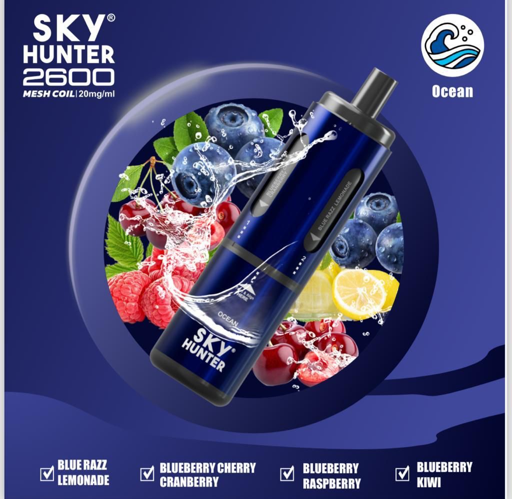 4 in 1 Sky Hunter 2600 Puffs Disposable Vape Pod Kit - Vape Villa