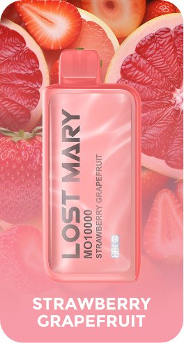 Lost Mary 10000 Puffs Disposable Vape Pod - Vape Villa