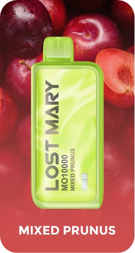 Lost Mary 10000 Puffs Disposable Vape Pod - Vape Villa