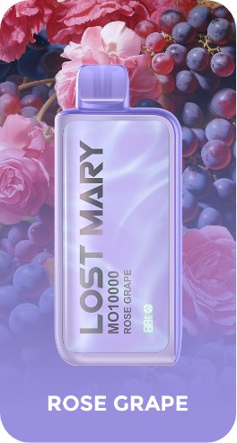 Lost Mary 10000 Puffs Disposable Vape Pod - Vape Villa