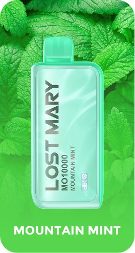 Lost Mary 10000 Puffs Disposable Vape Pod - Vape Villa