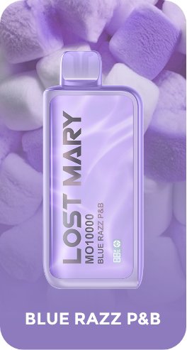 Lost Mary 10000 Puffs Disposable Vape Pod - Vape Villa