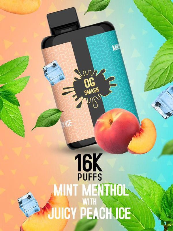 OG Smash Duo 16k Puffs Disposable Vape Pod - Pack of 5 - Vape Villa