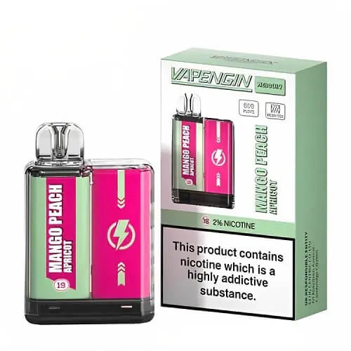 Vapengin Mercury 600 Puff Disposable Device - 20MG - Vape Villa